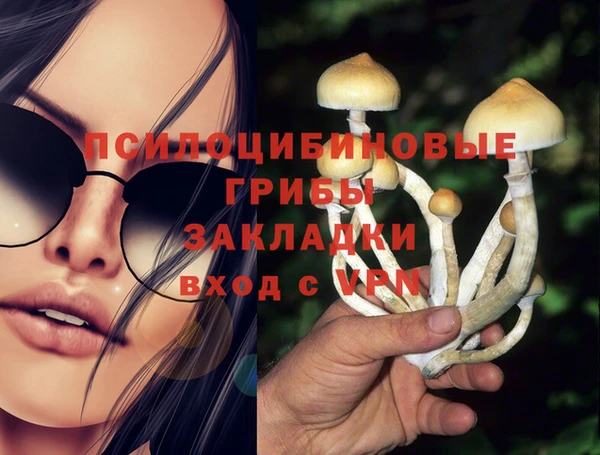 МДМА Белокуриха