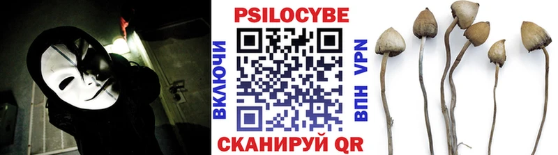 магазин продажи   Воткинск  Галлюциногенные грибы Psilocybine cubensis 